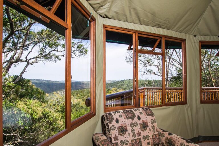 Where It All Began - Blog - Leave the city behind: 3 secluded mountain getaways near Cape Town - Teniqua Treetops Accommodation and Pink Sitting Chair near the Window