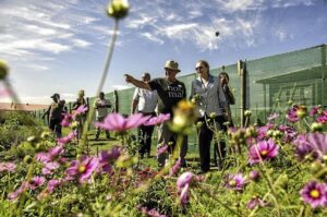 Where It All Began - Blog - Visiting Mitchell's Plain - the true heart of Cape Town - Group of People Observing Beautful Purple Flowers