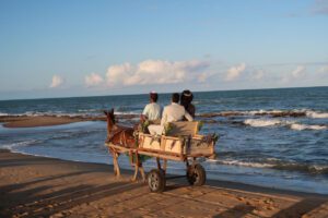 Where It All Began - Blog - Aviation and Ethical Travel (Series Article 4 of 5) - Passengers and Rider on Donkey Cart Transportation