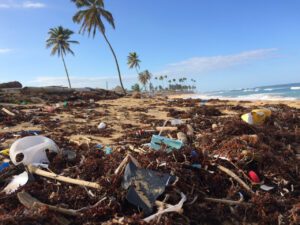 Where It All Began - Blog - Aviation and Ethical Travel (Series Article 5 of 5) - Seaweed and Trash Build up on the Beach