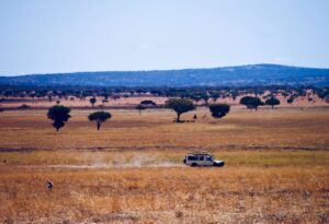 Where It All Began - Namibia & Okavango 4x4 Self Drive African Safari - Khaudum National Park - Khaudum Campsite - 4x4 Car Traveling Through Field