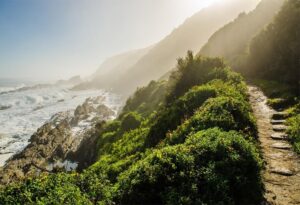 Where It All Began - Off-Road Cycling, Slackpacking & Scuba Diving Adventure - Dolphin Trail - Misty Mountain Reserve - Hiking Trail on Beach Mountain