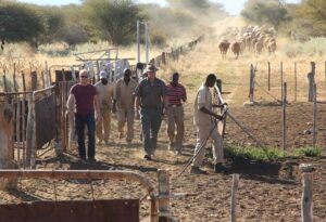 Where It All Began - Namibia & Okavango 4x4 Self Drive African Safari - Waterberg - Hamakari Guest Farm - Group of Safari Goers with Herd of Buffalo in Background