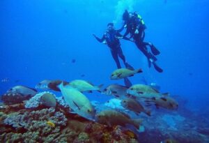 Where It All Began - KwaZulu Natal Road Trip - iSimangaliso - Thonga Beach Lodge - Snorkelling with Fish | West Coast Cycling & KwaZulu-Natal Diving Adventure - iSimangaliso Wetland Park - Thonga Beach Lodge - Snorkelling with Fish