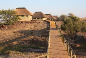 Where It All Began - North Namibian Road Trip Adventure - Damaraland - Palmwag Lodge - Pathway to Thatch Roof Huts