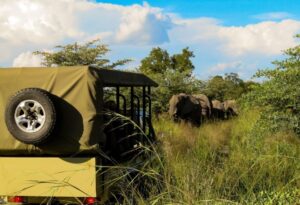 Where It All Began - Caprivi Strip Road Trip Adventure - Bwabwata National Park - Nambwa Tented Lodge - 4x4 Safari and Elephants