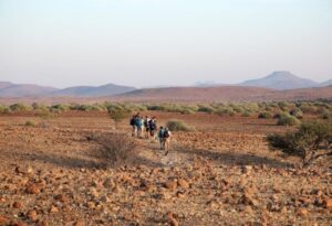 Where It All Began - North Namibian Road Trip Adventure - Damaraland - Palmwag Lodge - People Walking on Desert Safari