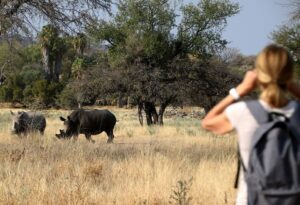 Where It All Began - Caprivi Strip Road Trip Adventure - Ghaub - Ghaub Lodge - Woman on Safari Watching Rhinos