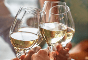 Where It All Began - African Glamping Safari - The Cape Winelands - Oude Werf - Wine Glasses Cheers | Cape Peninsula & Winelands Cycling Holiday - Constantia to Stellenbosch - Oude Werf - Wine Glasses Cheers