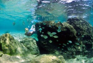 Where It All Began - Off-Road Cycling, Slackpacking & Scuba Diving Adventure - Isimangaliso Wetlands - Scuba Diver and Fish Underwater