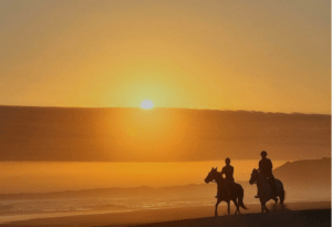 Where It All Began - African Glamping Safari - Kynsna - Amanzi Island Lodge - Horseback Riding In Sunset