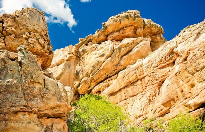 Where It All Began - Botanical Journey through Cederberg, Overberg and Winelands - Clanwilliam - Algeria Cottages - Mountain Rocks