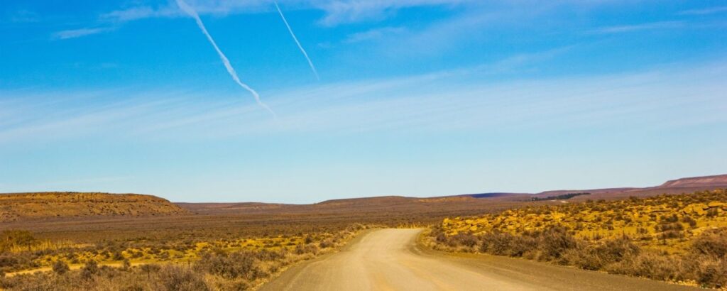 Where It All Began - Blog - Ringing the changes for birding - Long Dirt Road and Yellow Flower Terrain