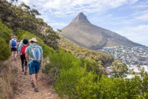 Where It All Began - Blog - Unleash Your Inner Adventurer on The Lion Trail: Cape Town’s Must-Do Experience - Hikers on Mountain Trail with Lion's Head View