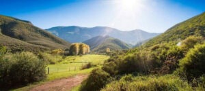 Where It All Began - Blog - Marvel at Marloth Reserve, Swellendam South Africa - Pat Busch Mountain Reserve,