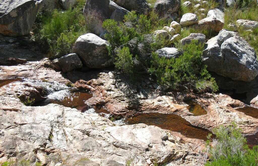 Where It All Began - Botanical Journey through Cederberg, Overberg and Winelands - Clanwilliam - Algeria Cottages - Mountain River