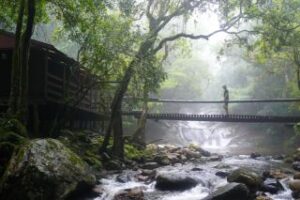 Where It All Began - Blog - A secret valley, just 4 hours from Johannesburg - Man Crossing A Bridge over A Stream in the Forest