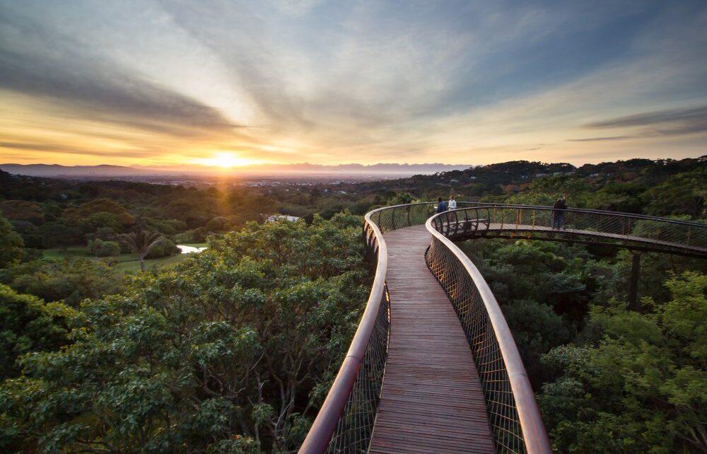 Where It All Began - Botanical Journey through Cederberg, Overberg and Winelands - Cape Town - Parker Cottage - Bridge