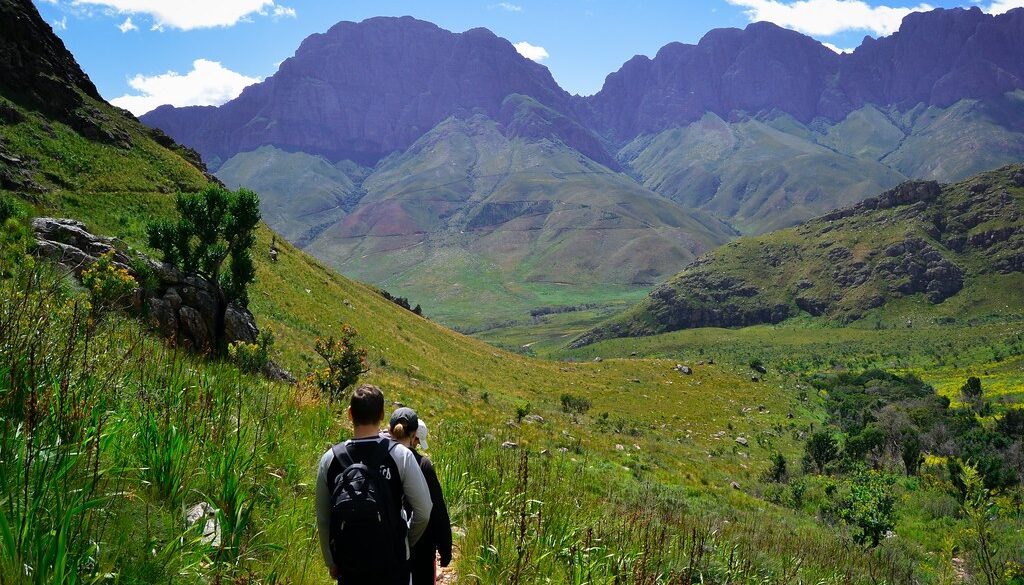 Where It All Began - Botanical Journey through Cederberg, Overberg and Winelands - Cape Winelands - Oude Werf - Hikers