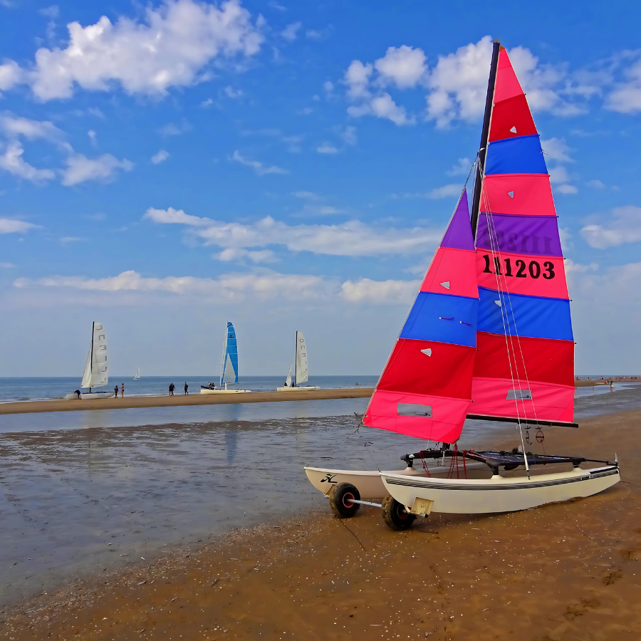Catamaran Sailing in South Africa