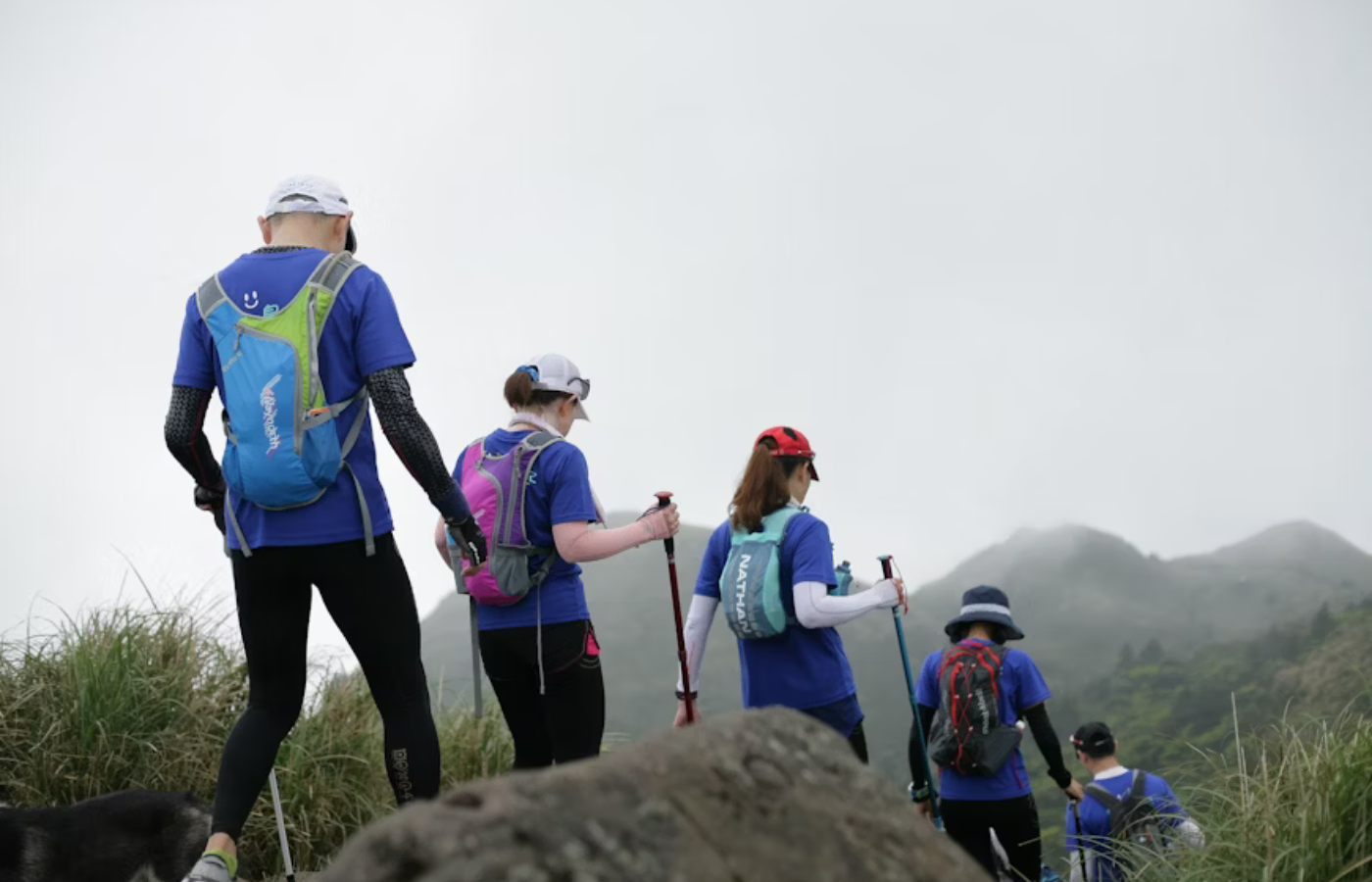 S052 - IT1 - Group of Hikers on Mountain Walk Where It All Began - Journeys - Wild Coast Hotel Hopper - Group of Hikers on Mountain Walk