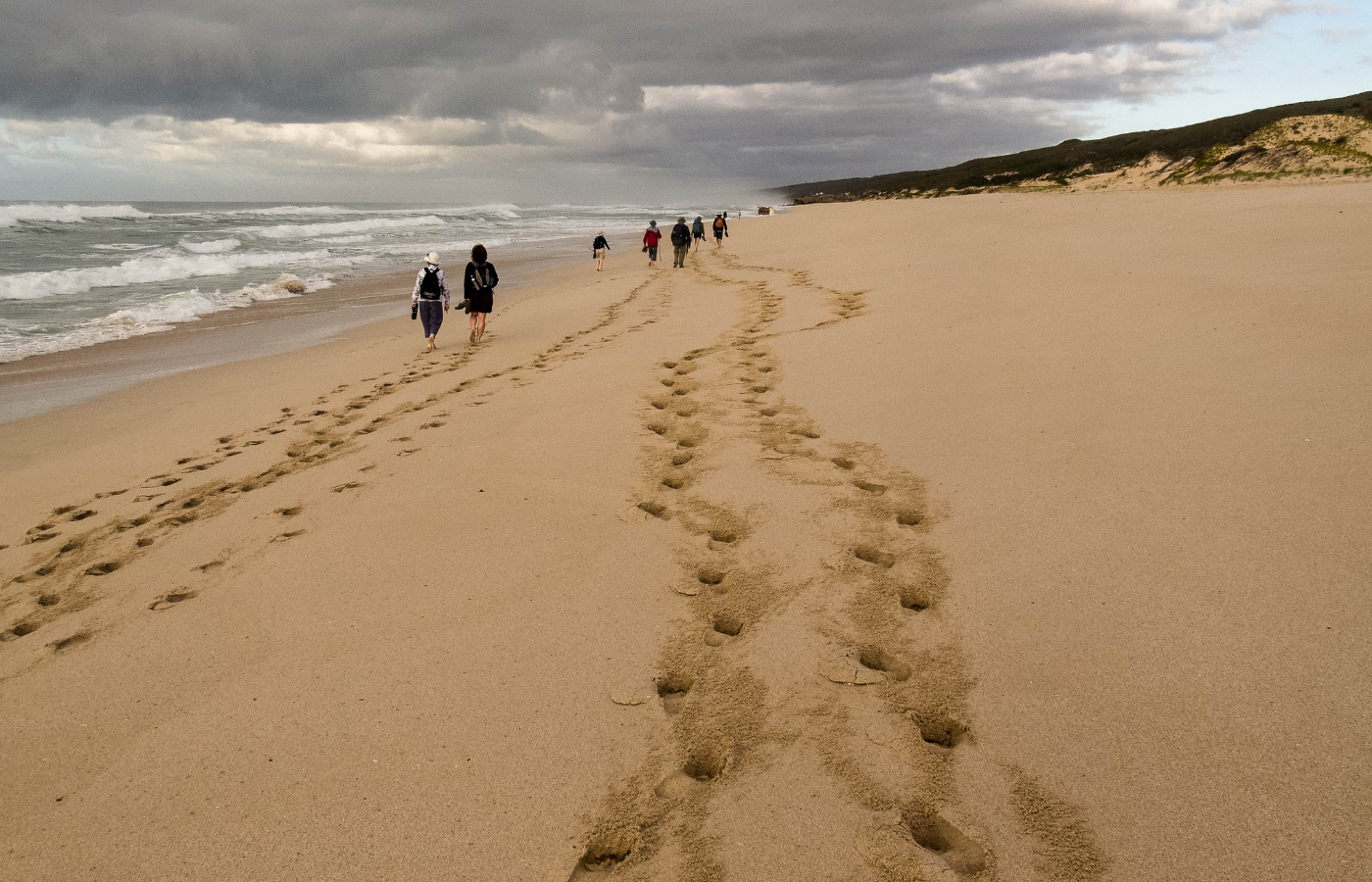 S052 - IT3 - Group of People Hiking on the Beach and Footprints in the Sand Where It All Began - Journeys - Wild Coast Hotel Hopper - Group of People Hiking on the Beach and Footprints in the Sand