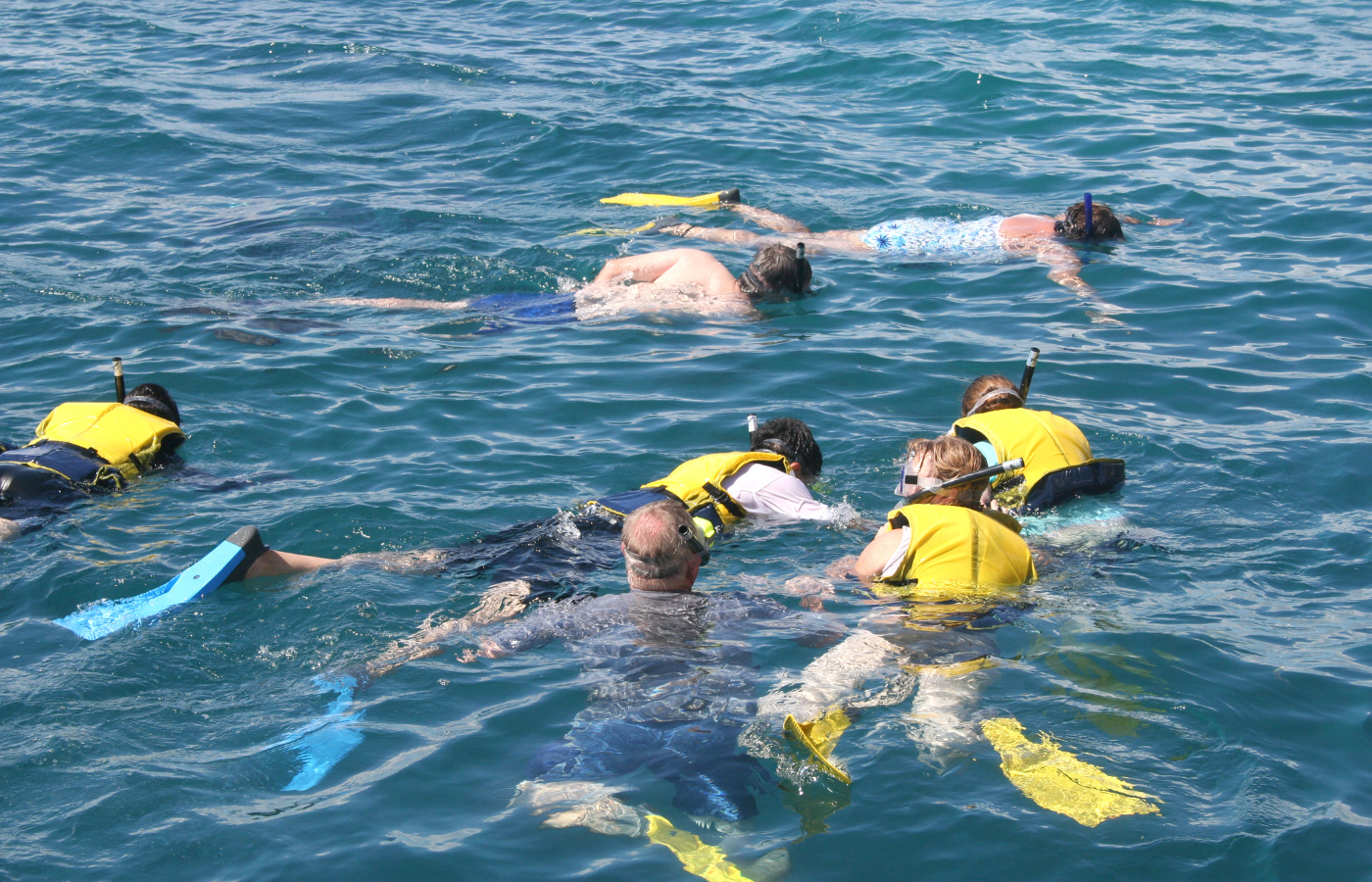 S050 - IT2 - Group of Divers Snorkelling Where It All Began - Journeys - Tropical African Lake and Forrest Slackpacking Adventure - Group of Divers Snorkelling