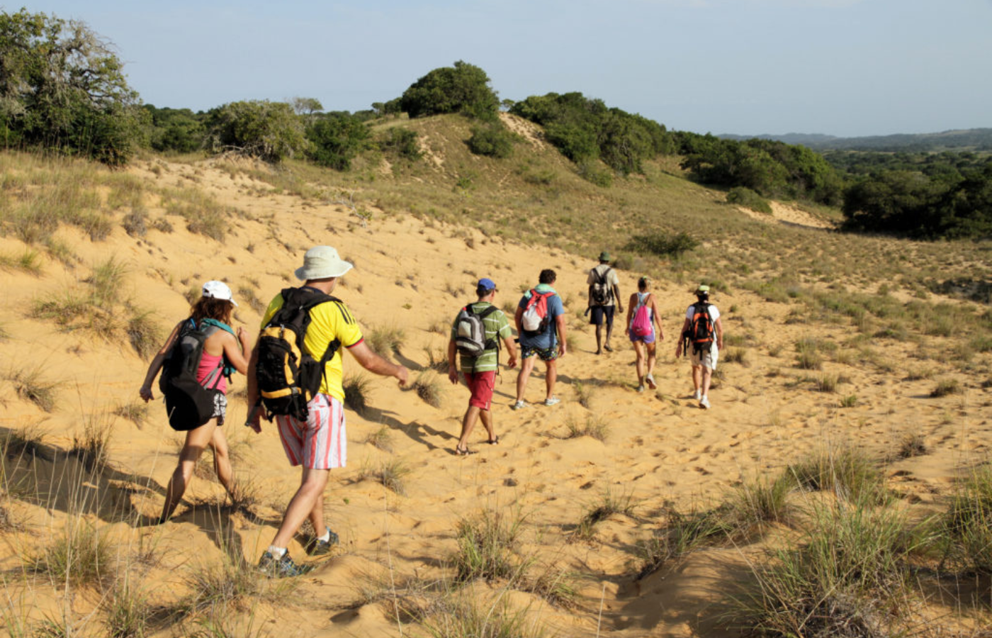S050 - IT1 - Group of Hikers on Dirt Road Hike Where It All Began - Journeys - Tropical African Lake and Forrest Slackpacking Adventure - Group of Hikers on Dirt Road Hike