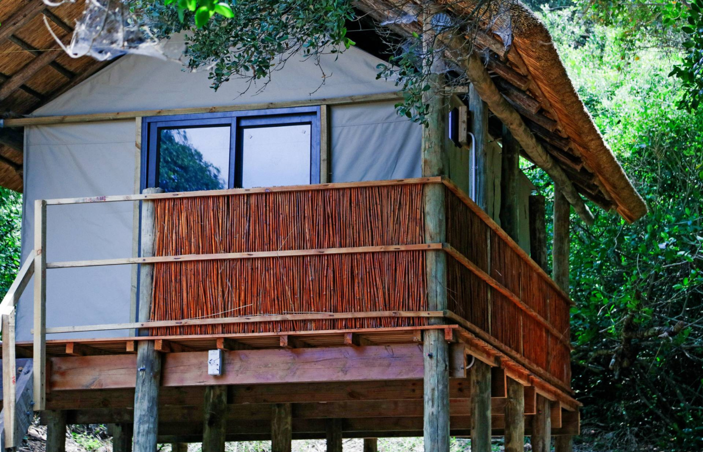 S050 - IT1 - Cabin in the Trees at Bhanga Nek Campsite Where It All Began - Journeys - Tropical African Lake and Forrest Slackpacking Adventure - Cabin in the Trees at Bhanga Nek Campsite