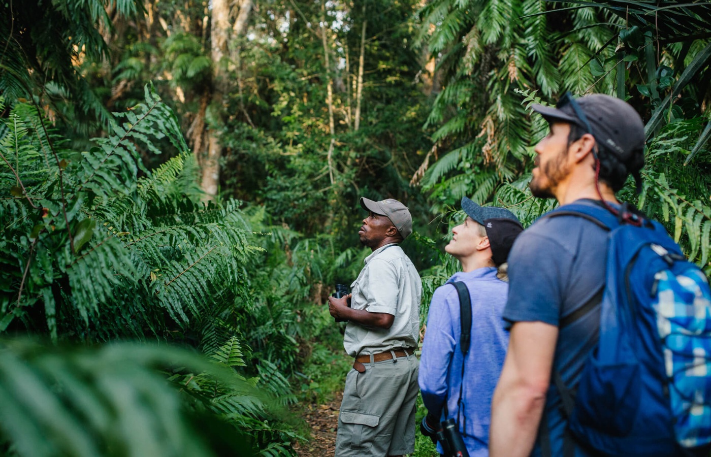 S050 - IT2 - Couple and Tour Guide on Forest Tour Where It All Began - Journeys - Tropical African Lake and Forrest Slackpacking Adventure - Couple and Tour Guide on Forest Tour