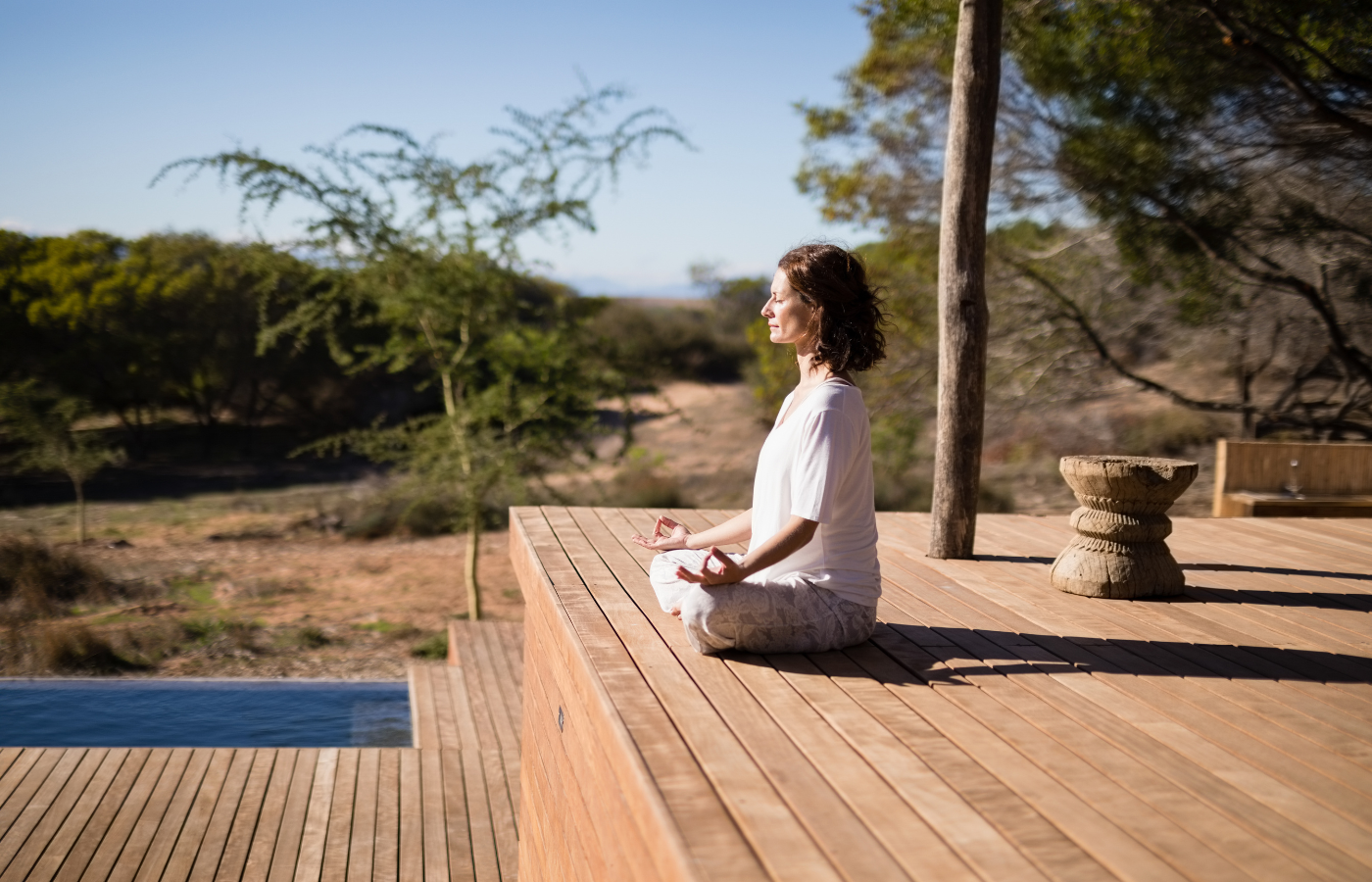 Illustration of Luxury Wellness Retreats With Eco Sensitive Focus