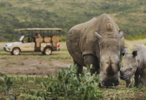 Press-Room - ABOUT PRESS ROOM I1