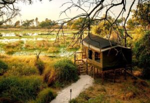 Where It All Began - Botswana Okavango Delta Safari - Okavango Delta - Oddball’s Camp - Glamping Camp Tent