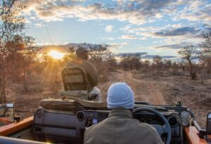Where It All Began - Ethical Luxury Travel from Victoria Falls to Cape Town - Kruger Park - Tanda Tula - Game Drive Car