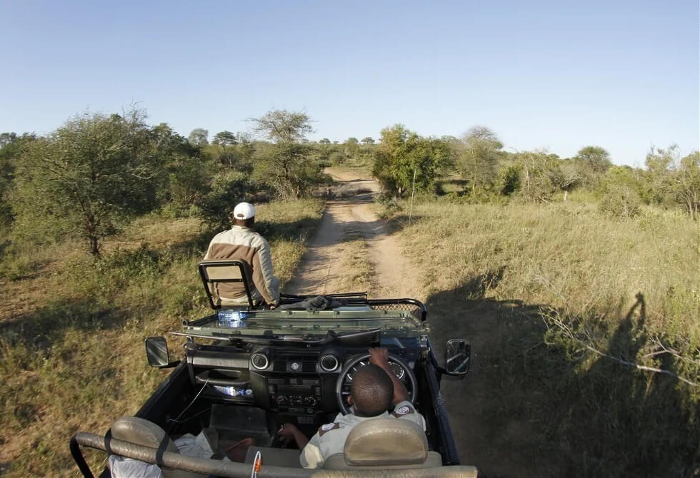 Where It All Began - Kruger National Park Safari - Timbavati - Umlani Bush Camp - Game Drive